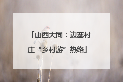 山西大同：边塞村庄“乡村游”热络